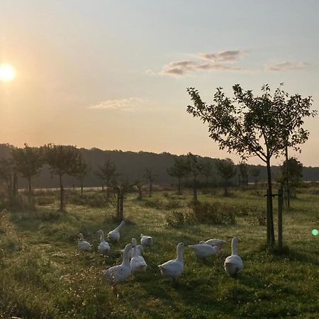 Ferienwohnung Am Gruenen Band, Gretchen Wittingen Luaran gambar