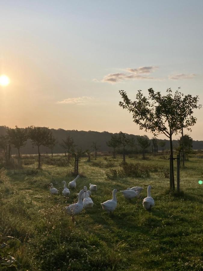 Ferienwohnung Am Gruenen Band, Gretchen Wittingen Luaran gambar